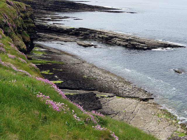 Mullaghmore Coast Lane