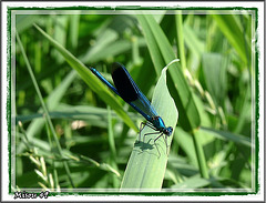 Jolie rencontre du week-end