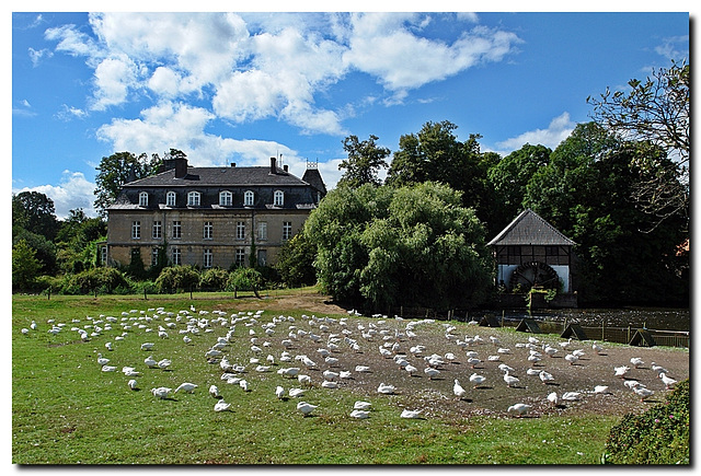 Haus Caen mit Mühle