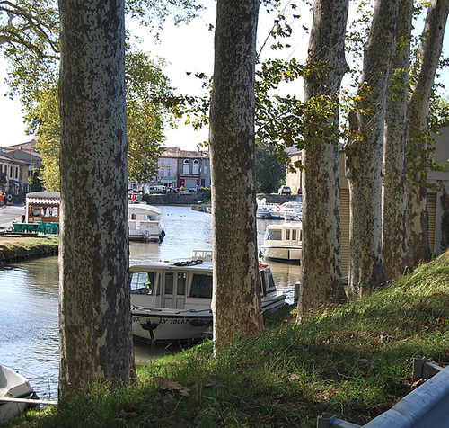Trèbes  Le  Canal du Midi