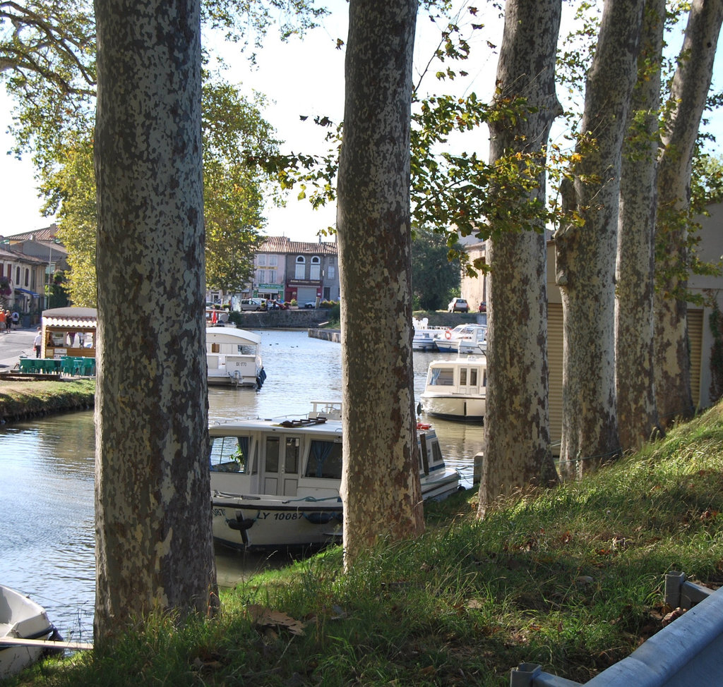 Trèbes  Le  Canal du Midi