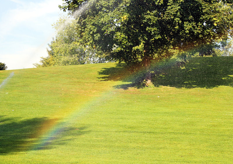 Regenbogen auf der Wiese