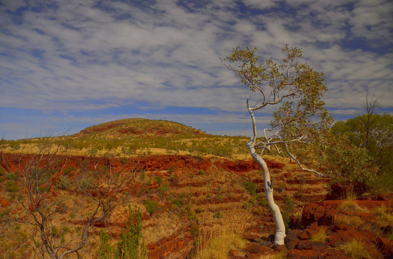 Karijini afternoon