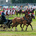 Parade équestre...