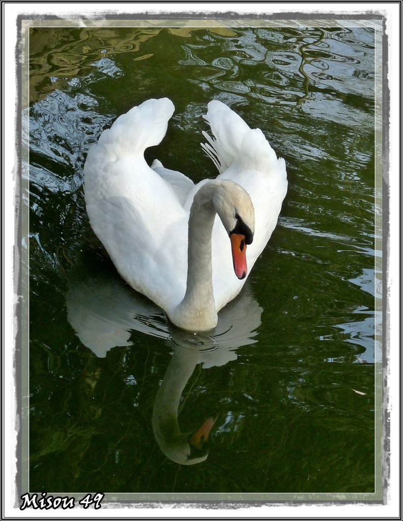 ANGERS