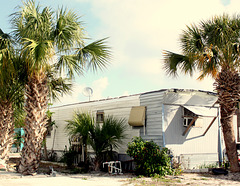 Palms and mobile home