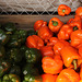 Peppers, Barbour's Produce