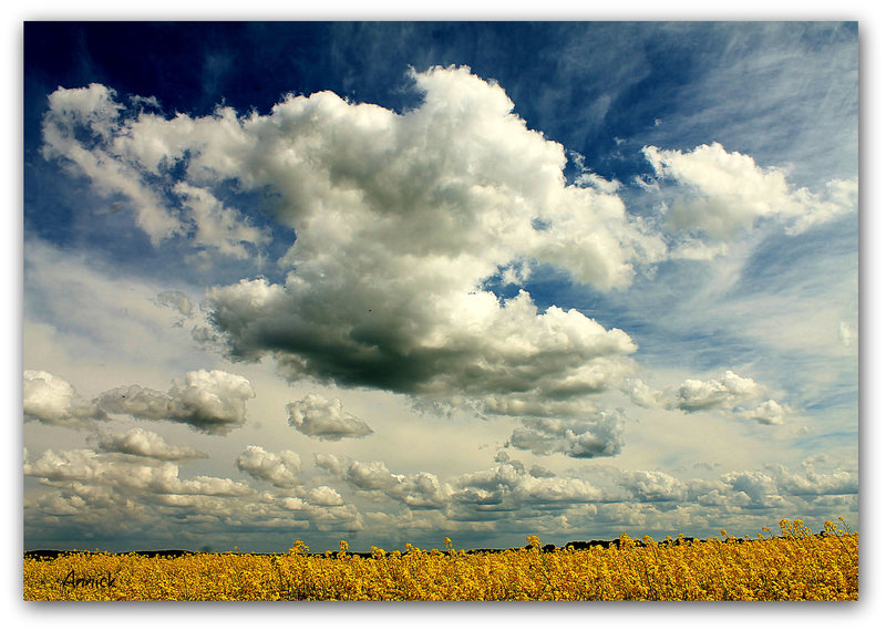 ciel magique