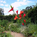 Jardin 18  Sens dessus dessous (5)