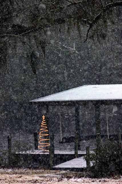 Tree in storm