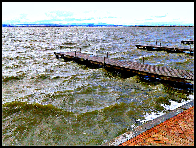 Valencia: lago de la Albufera.