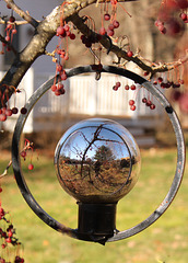 Self-portrait in gazing ball