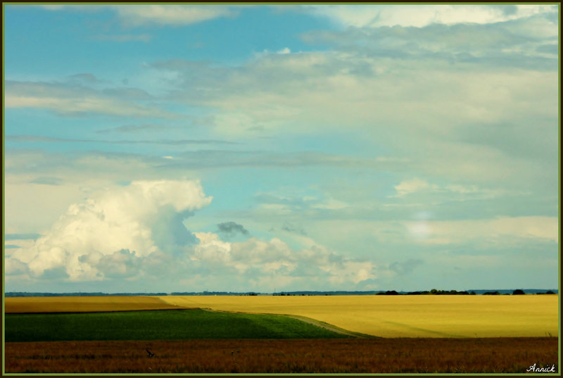 HORIZONS***