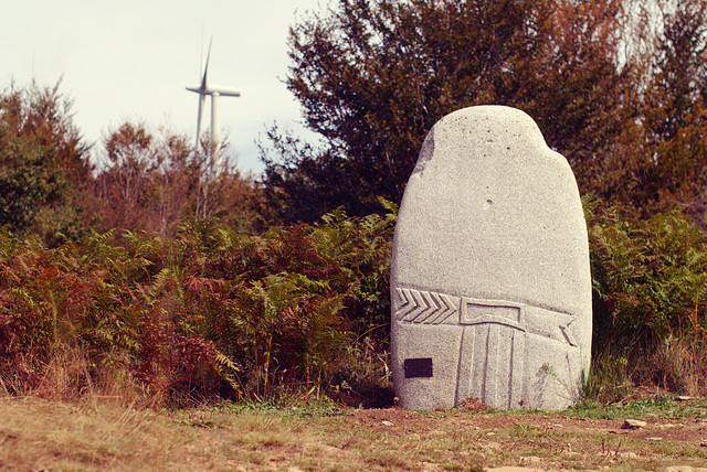 Two menhirs
