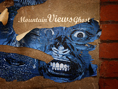 Mountain Views Ghost