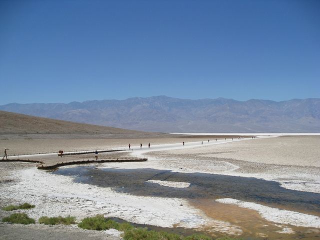 Death Valley NP Badwater 3236a