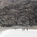 Death Valley NP Badwater 3238a