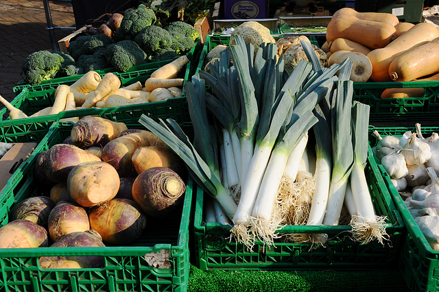 Open Air Market