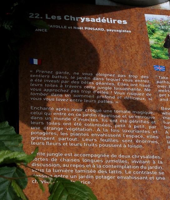 Jardin 22 - Les Chrysadélires (2)