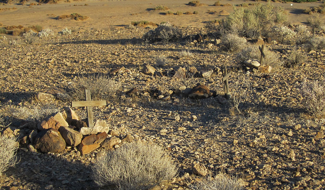 Old Tecopa cemetery (2807)