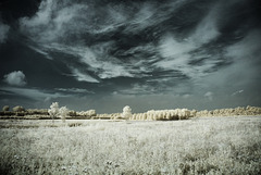 Nice sky, boring field