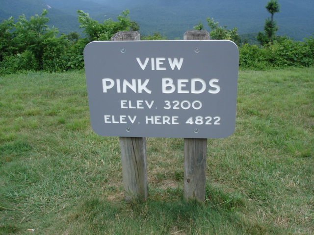 View pink beds - July 13th 2010.