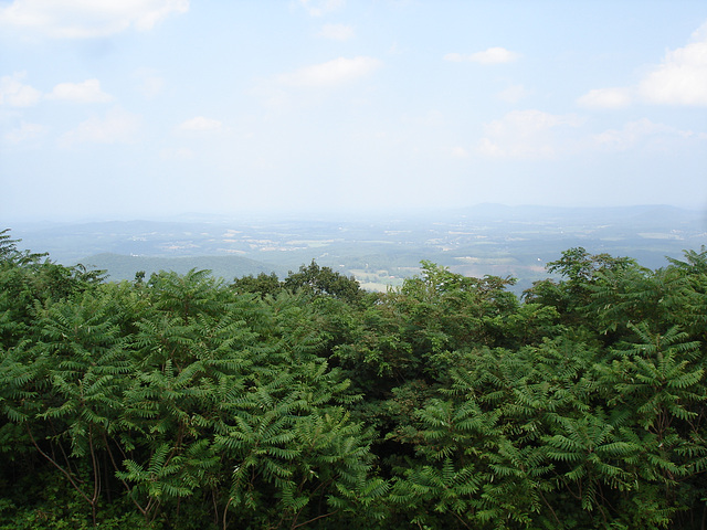 Blue Ridge Parkway - 15 juillet 2010.