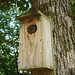 Bird's house / Cabane à oiseaux - 10 juillet 2010.