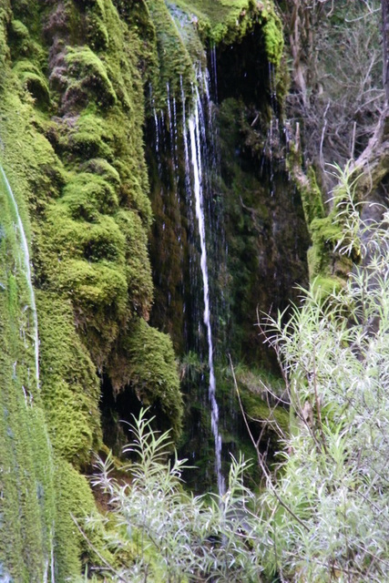 Cascade verte