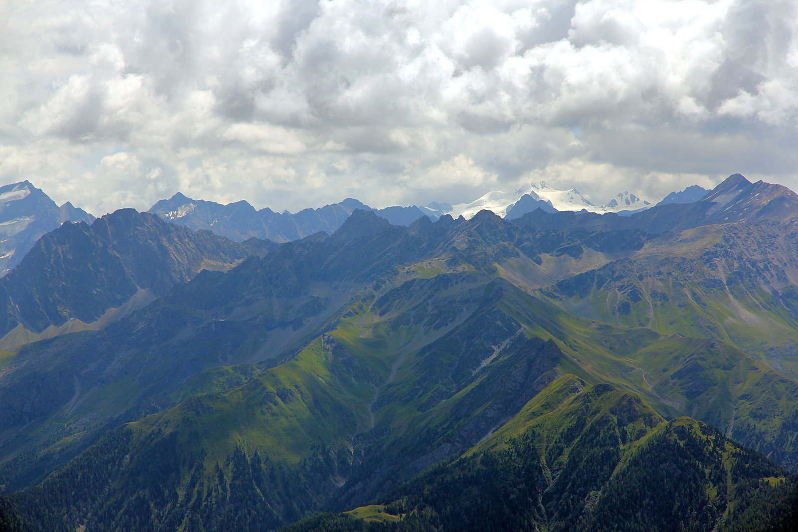 Ortlerblick