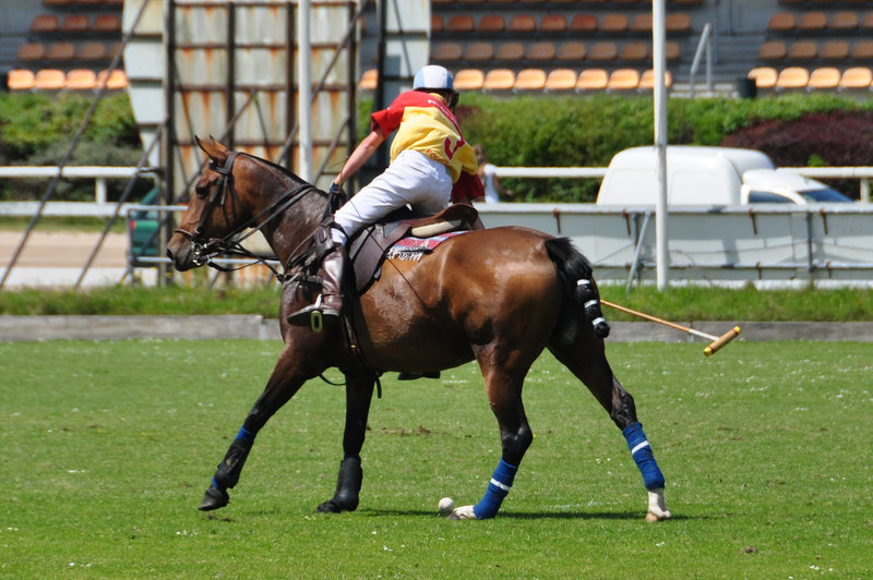 Polo tournament at Duindigt Hippodrome