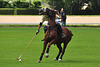 Polo in six seconds