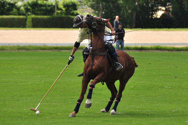 Polo in six seconds