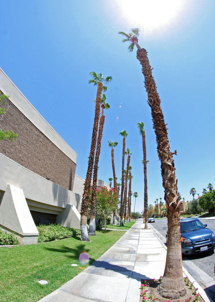 Palm Springs (5908)
