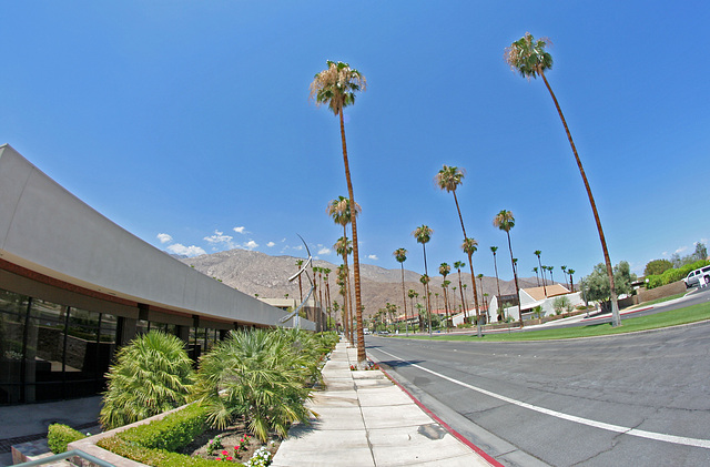 Palm Springs Tahquitz Canyon Way (5919)