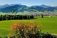 Appenzell (Suisse Orientale)...