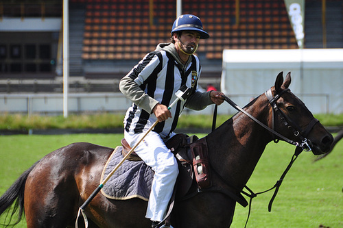 Polo – referee