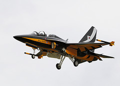 Korean Black Eagle T50 (b)