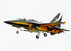 Korean Black Eagle T50 (a)