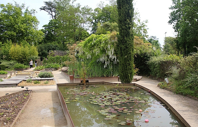 Bassin du potager