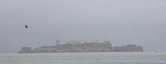 SF Embarcadero / Alcatraz