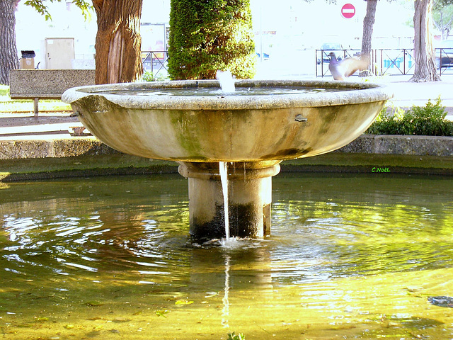 La fontaine et l'oiseau !