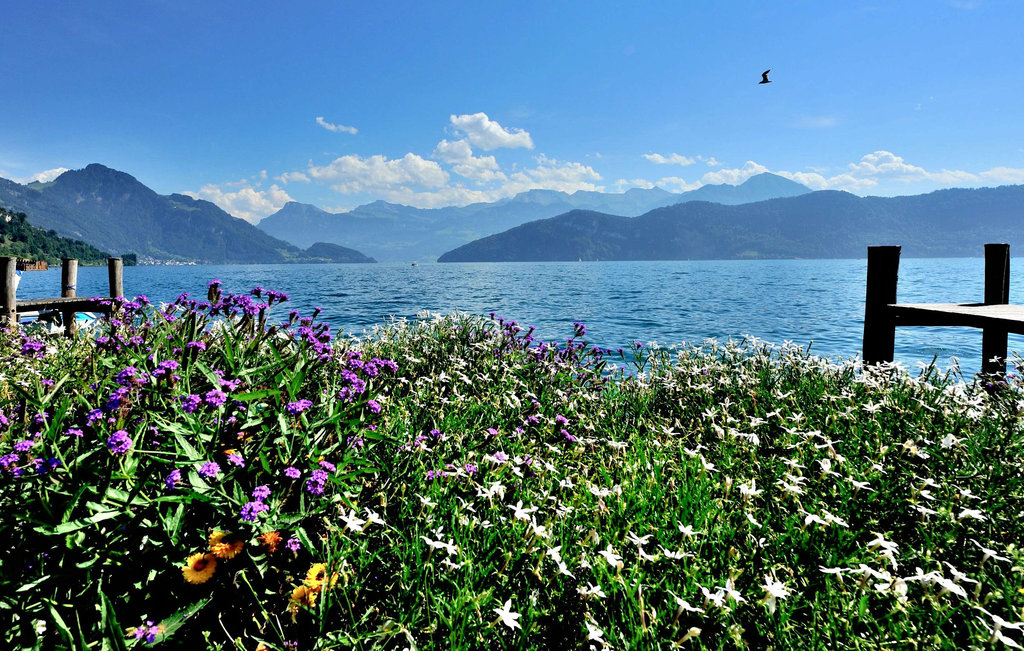 Au bord du lac des Quatre-Cantons...