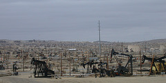 Kern Westside oil (2877)