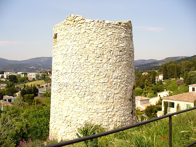 Vestige d'un moulin, n°2