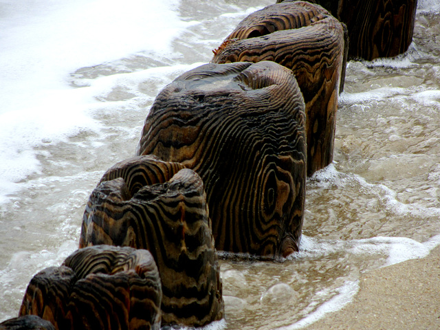 Holz in Salzwasser