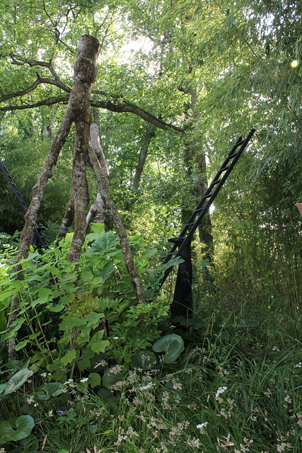 Jardin 19 bis - En vert (8)