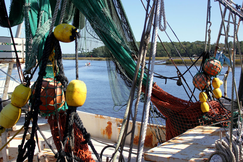 Low Country river