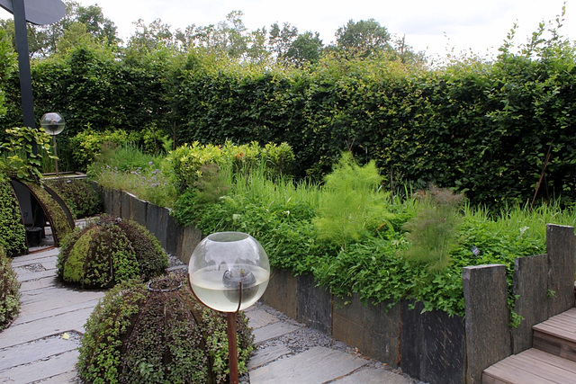 Jardin 4 - Le potager (10)