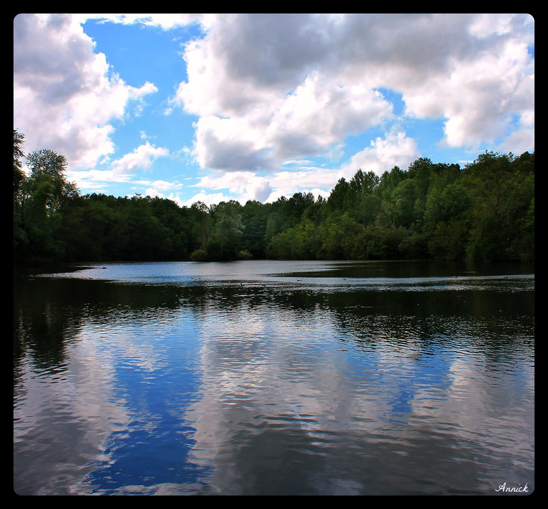REFLETS***